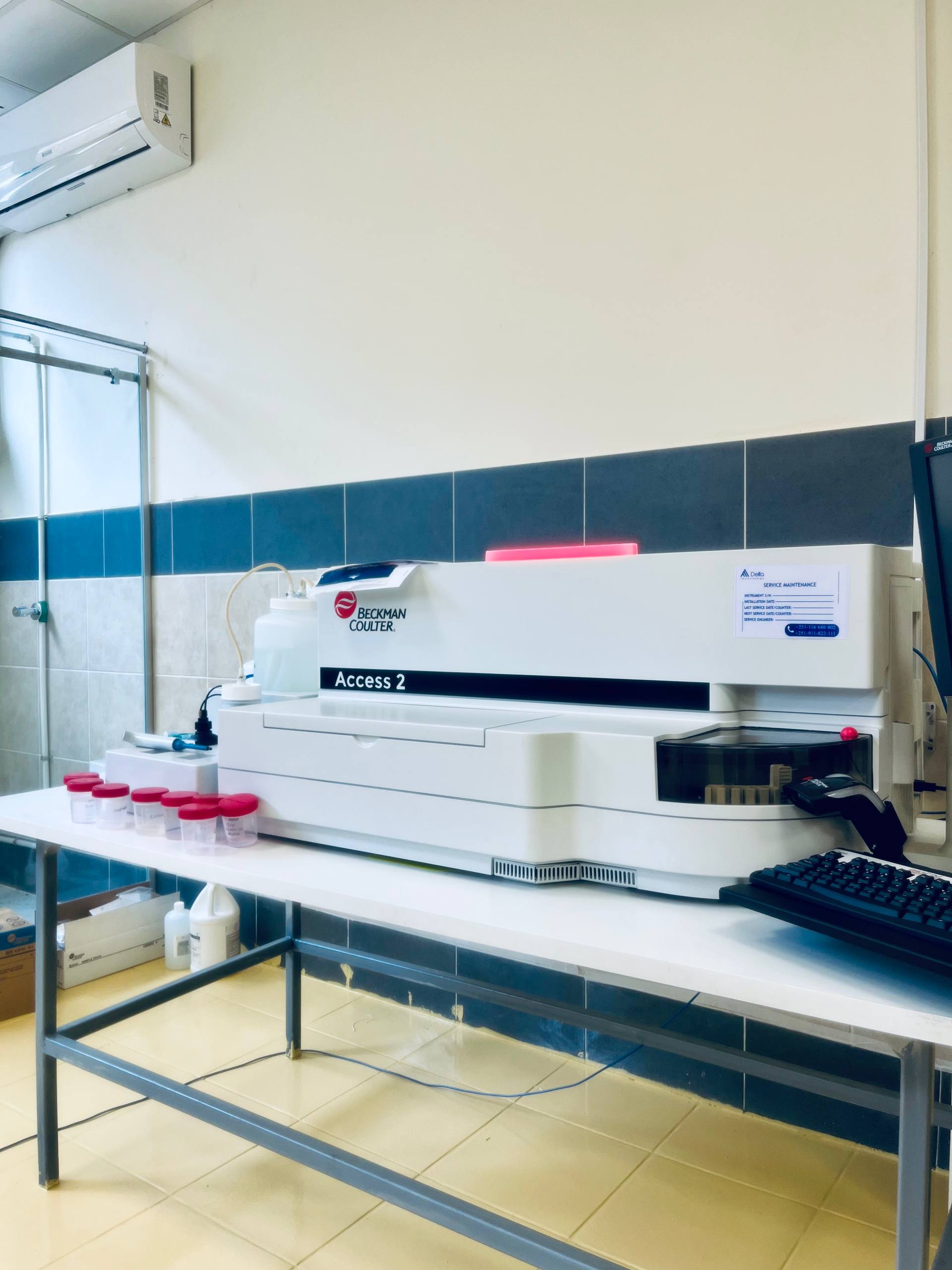 Beckman Coulter Access 2 Dedicated Immunoassay